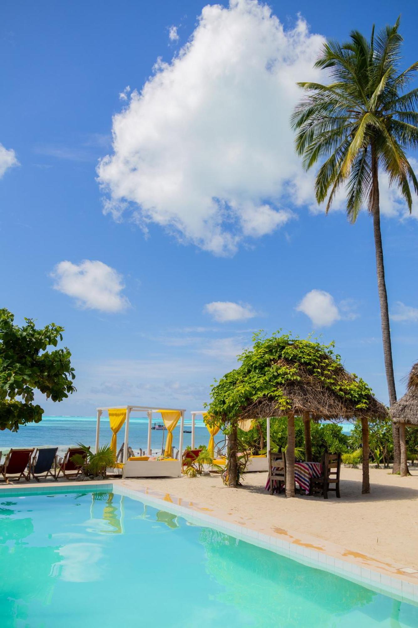 Pili Pili Palm Beach Jambiani  Exterior photo